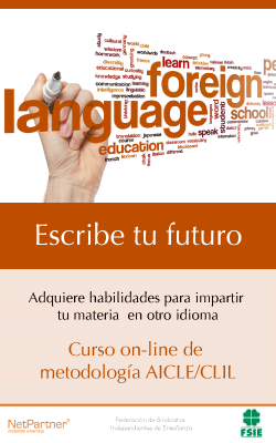 160115 carteles-cursos-aicle-general